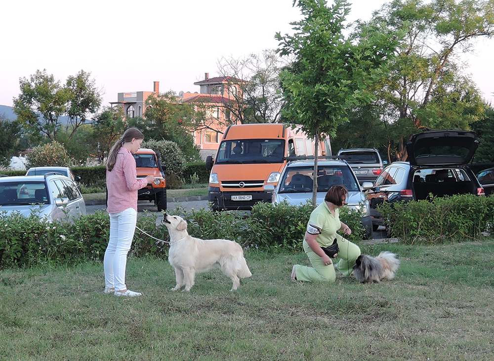 Международная выставка собак, Созополь, Болгария                                                                                                                                                                                                               