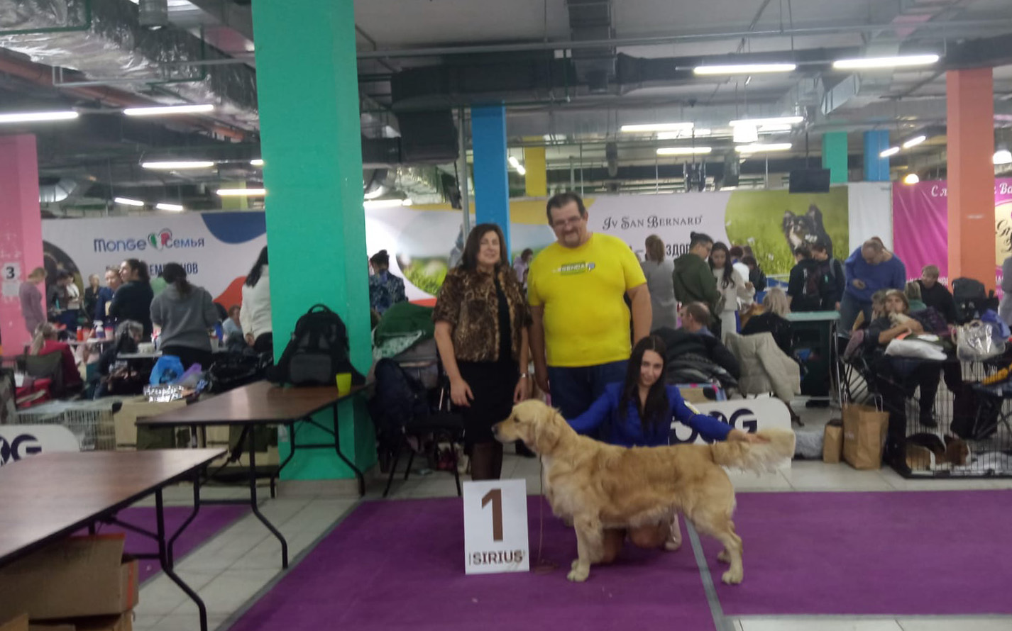 Жаворонок из Лесного Городка 24 Декабря 2022 г. - Национальная выставка собак